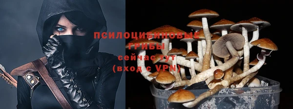 дмт Алзамай