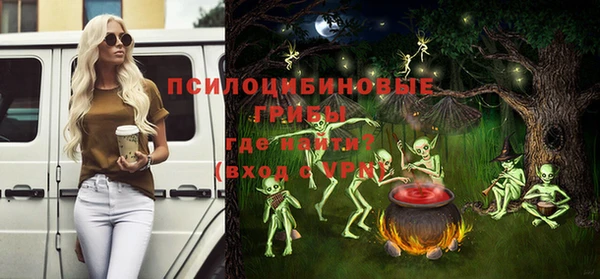 дмт Алзамай