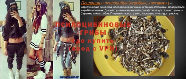 дмт Алзамай