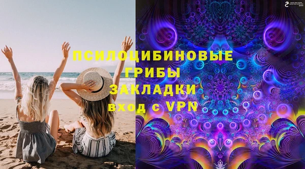 шишки Алексеевка